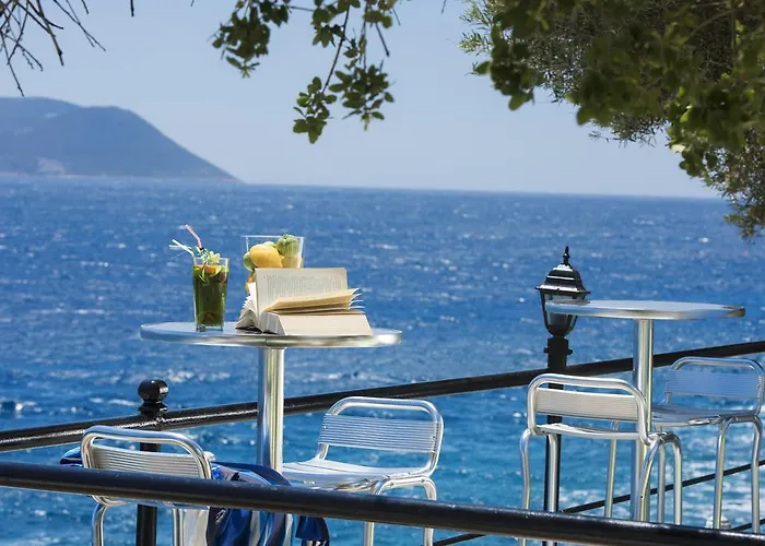 Selim - Adult Only + 16