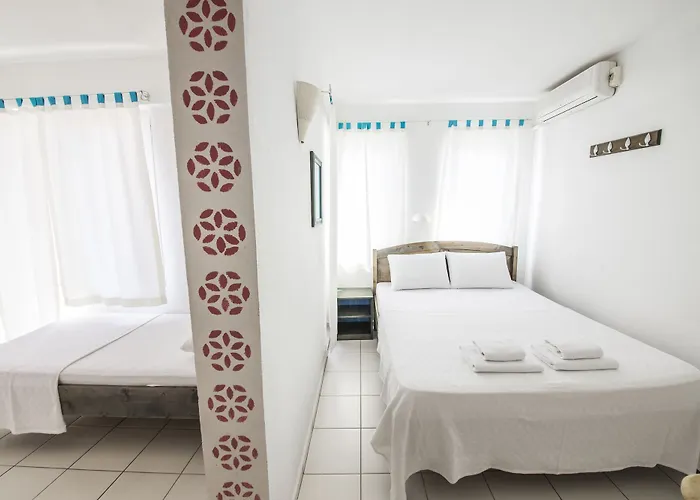 Selim - Adult Only + 16 Kaş