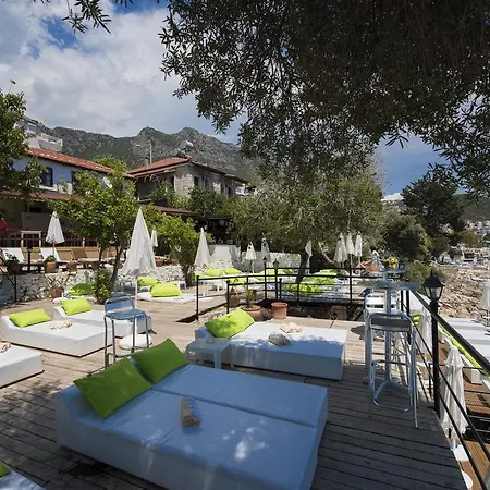 Bed & Breakfast Selim - Adult Only + 16 Kas